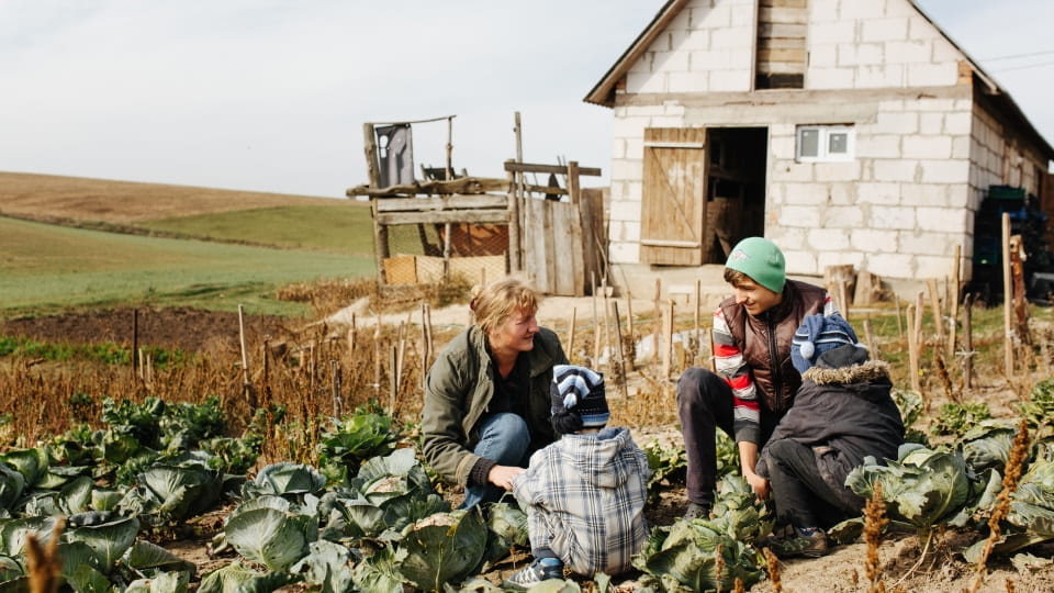 Help the Klaric Family Build a Sustainable Future