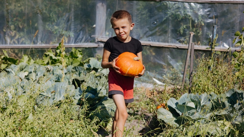 Help Families Build a More Hopeful Future